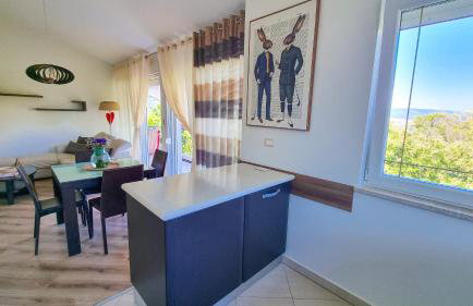 Apt - Villa Sambije with swimming pool, Dobrec - Opatija - Foto 33