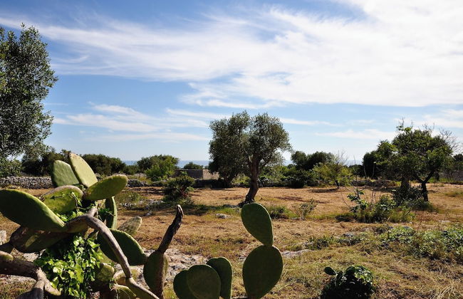 Villino Asteria With Garden Near the sea - Photo 22