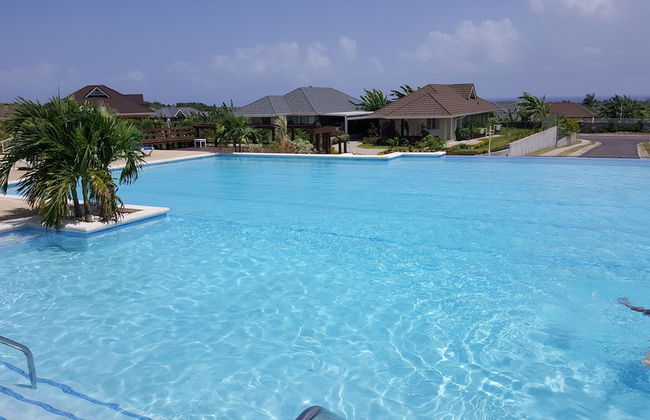 Ocho Rios Villa at Coolshade IV - Photo 41