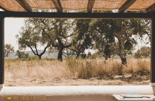 Monte dos Pintos - Foto 13