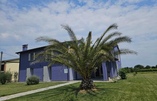 Agriturismo Il Granaio Faenza - Foto 59