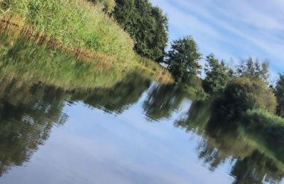 The Old Dairy - Foto 24