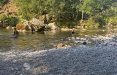 La Terraza de Sovega - Foto 8