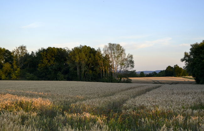am Rotenberg - Foto 26