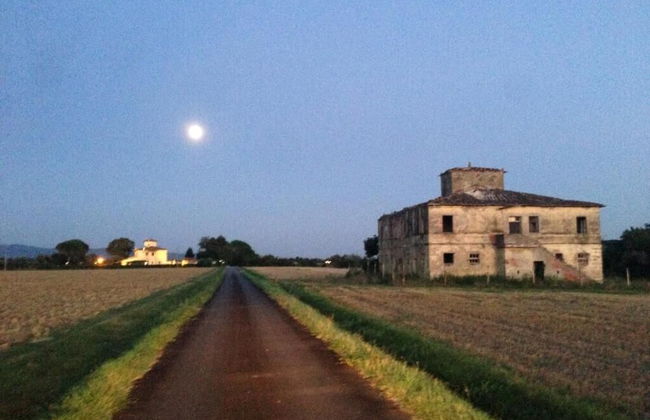 Agrisalotto - Foto 54