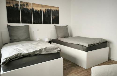 Tor zum Saueland mit Sauna und Whirlpool - Foto 21