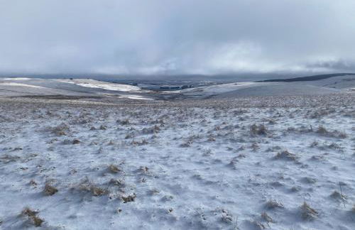 Chalet chaleureux et fonctionnel - Photo 24