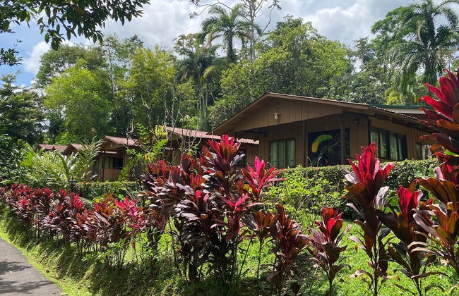 Villas Josipek - Foto 41