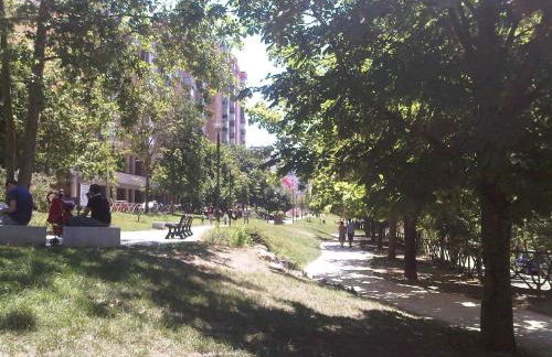 The Flowers' House - Photo 43