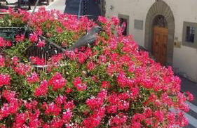 Marcello appartamento XVIII secolo - Foto 24