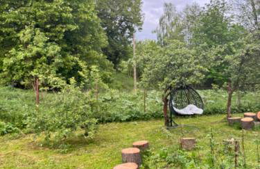 Zdzisiówka - Foto 40