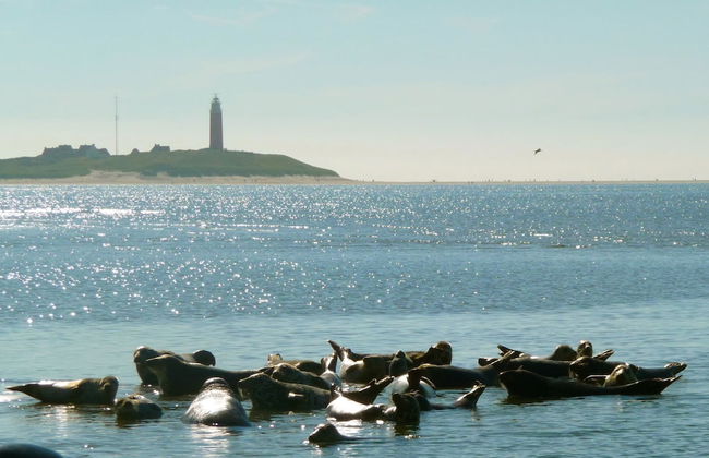 Well-kept Apartment, a Stone's Throw From the sea on Texel - Foto 33