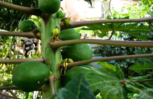 Casa do pescador - Foto 30