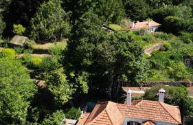 Quinta Das Faias - Foto 13