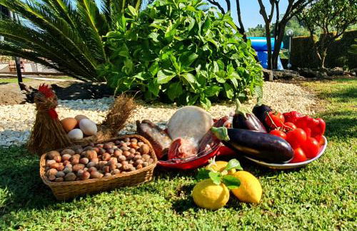 Villa Laura - Foto 47