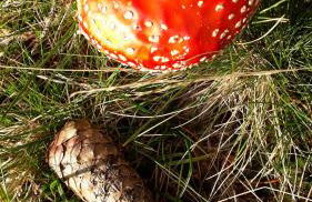 Ferienwohnung Gipfelstürmer - Foto 43