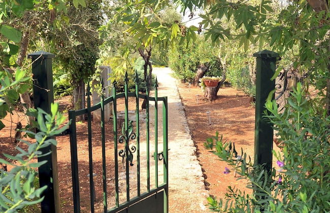 Trulli Mimosa by Pugliadamare - Foto 61