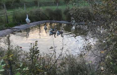 Country House Salomè - Foto 52