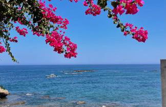 Cortiletto Eveneto - Foto 18