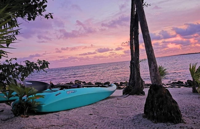 Tulsayab Luxury Development - Photo 65