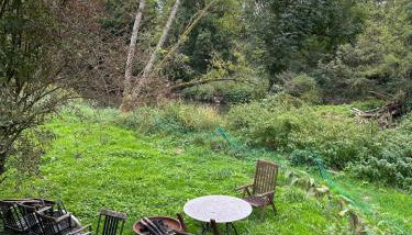 Ferienwohnung für Monteure 3 Zi, Wohnzimmer 1x, Küche, Bad, 1Gäste WC - Foto 3, Garden