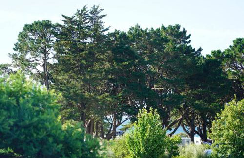 logement avec jardin de bord Mer PORT NAVALO - Photo 37