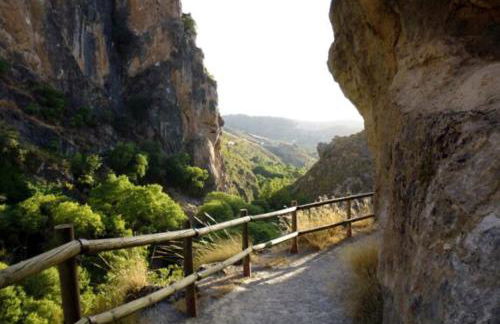 AT VISTA GRANADA - Foto 16