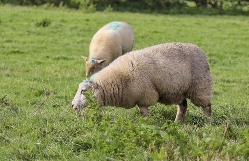 The Granary - Foto 24