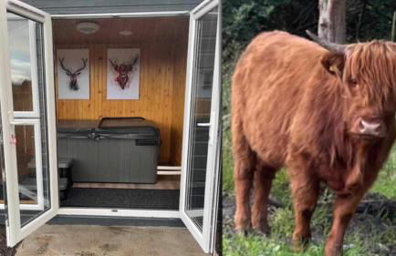 Ben Nevis Manor Lodge & Indoor Private Hot-Tub - Photo 2