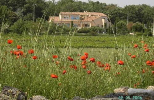 L’Olivier - Foto 18