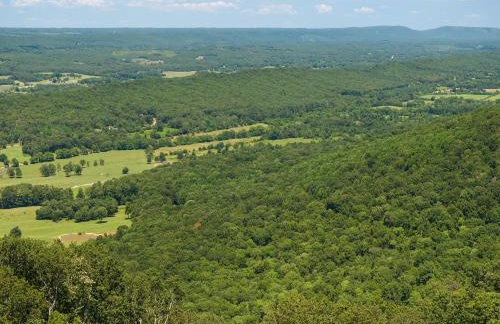 The Otter Box Cabin - 92 Acres Beside DeSoto State Park - Foto 17