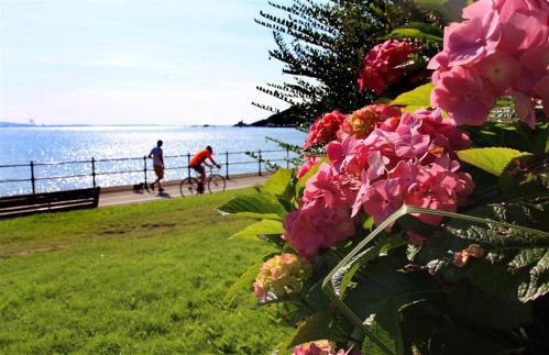 1 Bed in Mumbles oc-hh631 - Foto 18