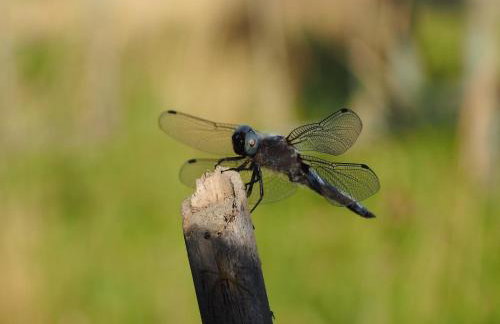 Le Ventoux - Photo 34