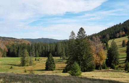 Daheim im Geissetal - Foto 32