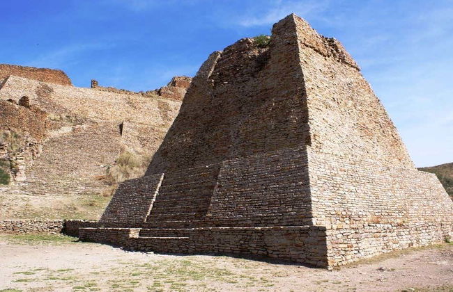 Excursión a La Quemada y Jerez - Foto 3