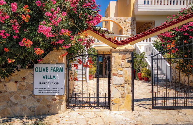 Olive Farm - Foto 49