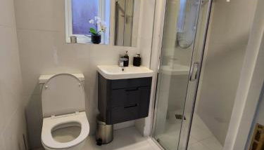 Studio Flat near Central London - Photo 5
