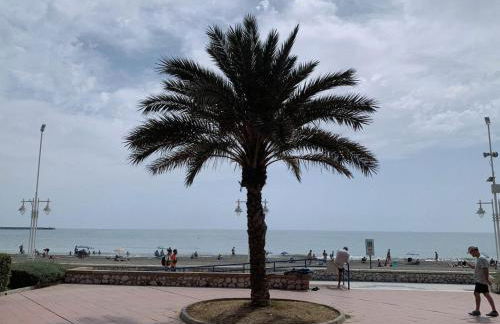 Pacifico Beach Front - Photo 13