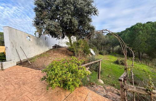 Jaén Interior El Lentisquillo - Foto 19