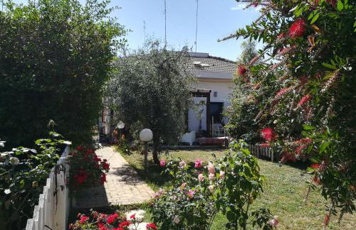 Geko's House - Foto 8