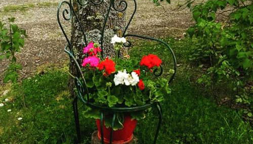 Agriturismo Podernuovo - Foto 3