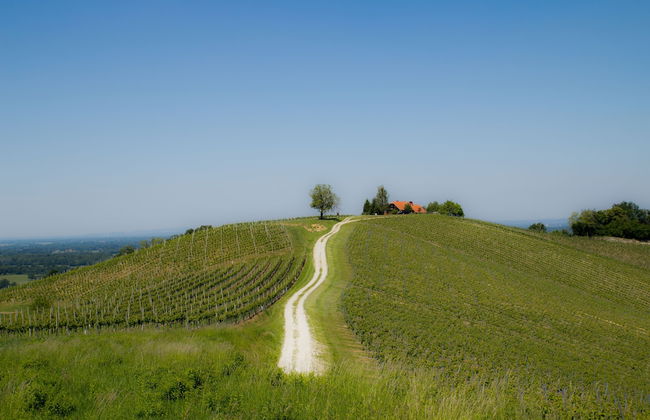 Sleeps5-wellness Spa- Hot Tub- Family Friendly - Foto 23