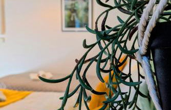 Uhlpartment - im Herzen von Salzwedel - Foto 10