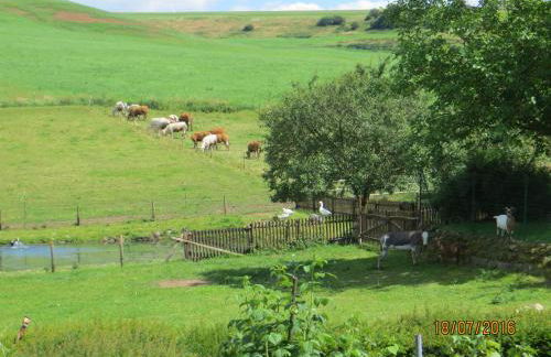 Ferienwohnungen Grafenfelder Hof - Photo 22