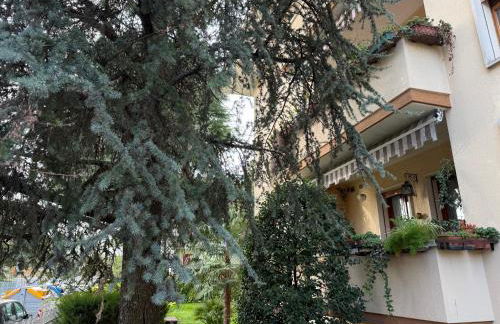 Kate's house - Photo 11