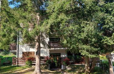 Casa ampia Funghetto sulle piste di Folgarida - Photo 12