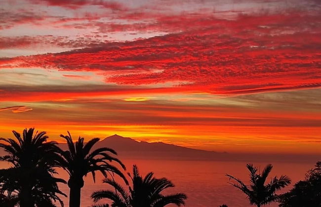 Gran Villa Palmera - Foto 12