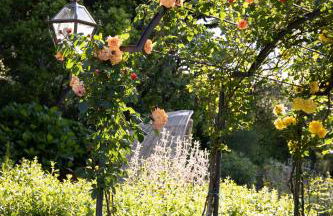 Cipressini - Foto 64