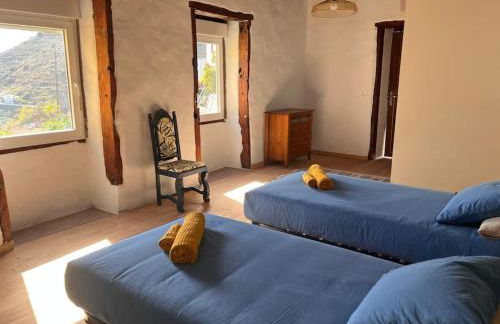 La Casa del Aguacate - Foto 7