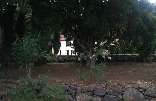 Quinta Das Faias - Foto 76